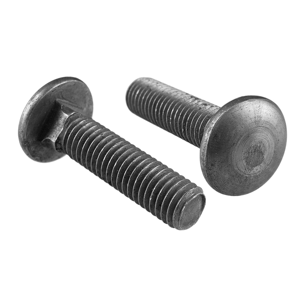 Tornillo tipo coche 5/16" x 2-1/2", 50 piezas