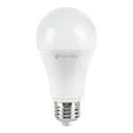 Lámpara LED tipo bulbo A19 14 W luz de día, caja, Volteck LED-100F
