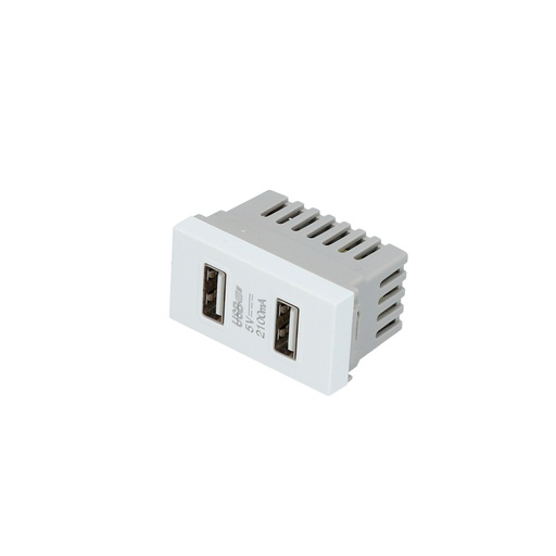 [P617B] Módulo USB doble 1/3, línea Premium, color blanco