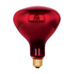 [48324] Lámpara BR-40 250 W tipo reflector infrarrojo terapéutico BR-40I